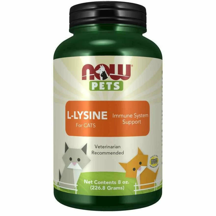 L-Lysine Powder 8 oz E8762