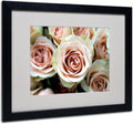 Pale Pink Roses Canvas Artwork in Black Frame, 16 by 20-Inch O7459