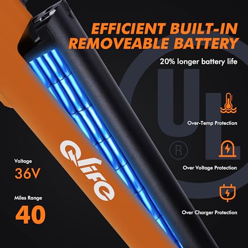 26" Step-Through Electric Bike with Removable Battery V246