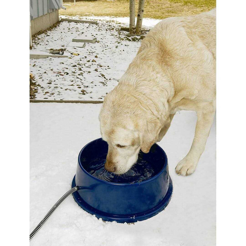 Thermal Pet Bowl P8555
