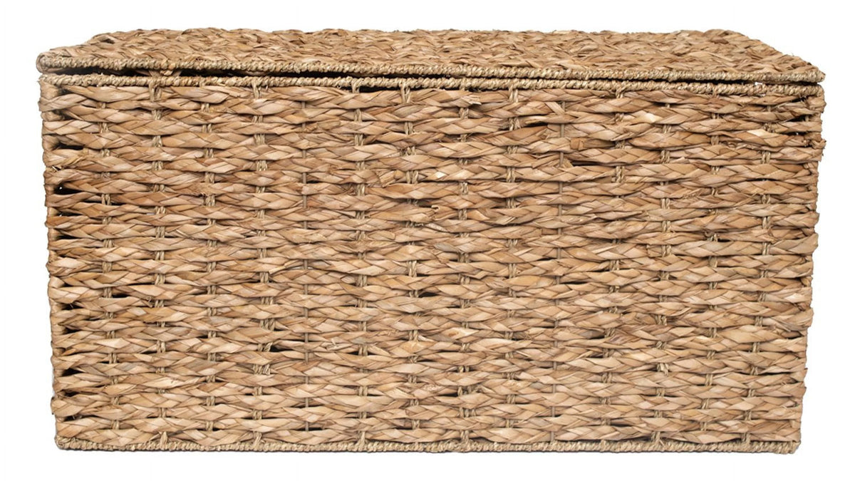 Large Storage Trunk X95205
