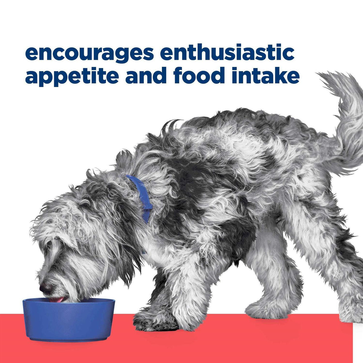 ONC Care Dry Dog Food P727983