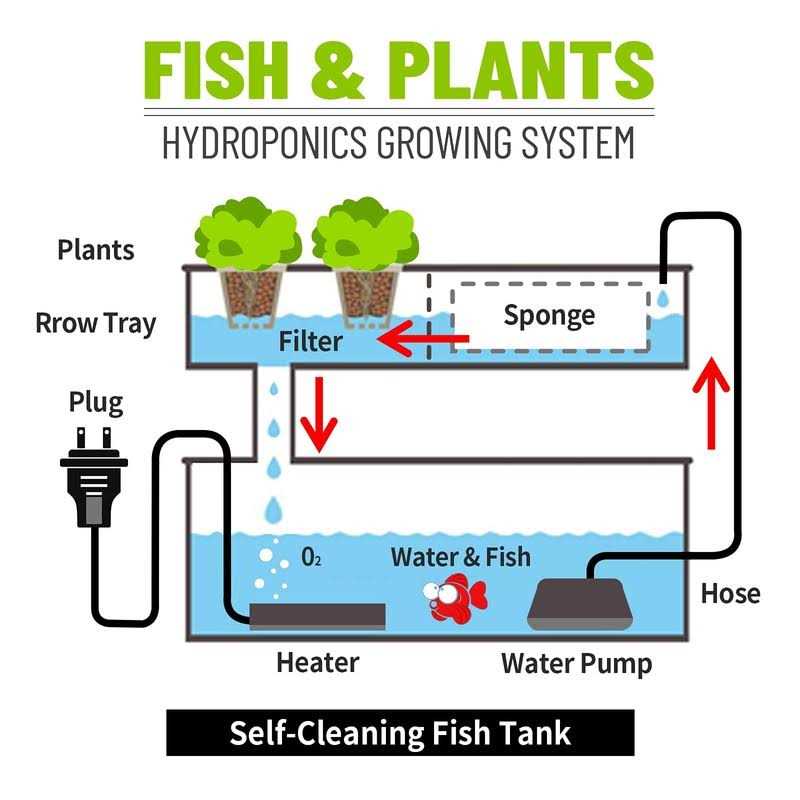 1.6 Gallon Betta Fish Tank with Heater and Filter E612