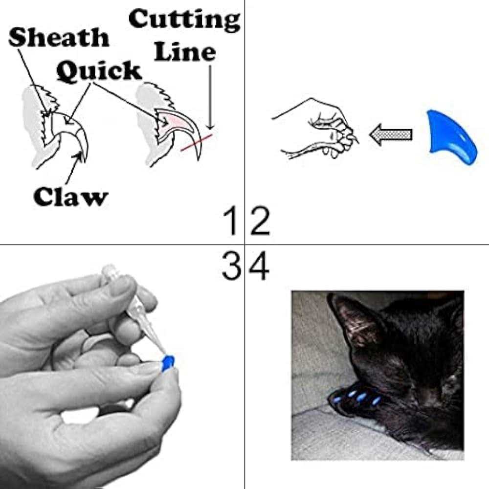 Soft Nail Caps for Cats W53393