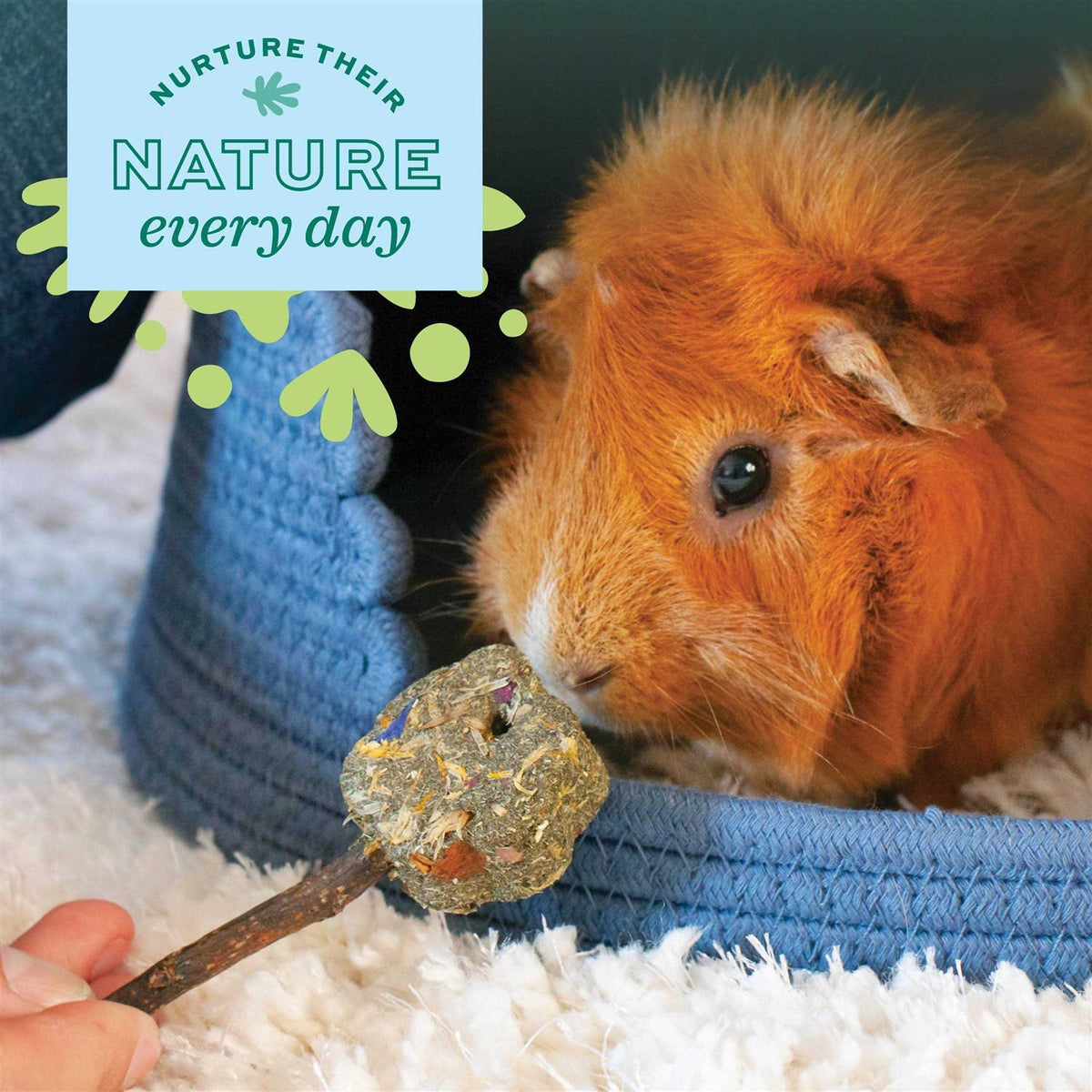 Adult Guinea Pig Food N186968