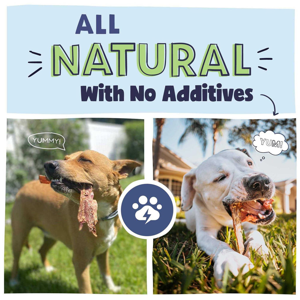 Natural Beef Jerky Dog Chew Treats N224546