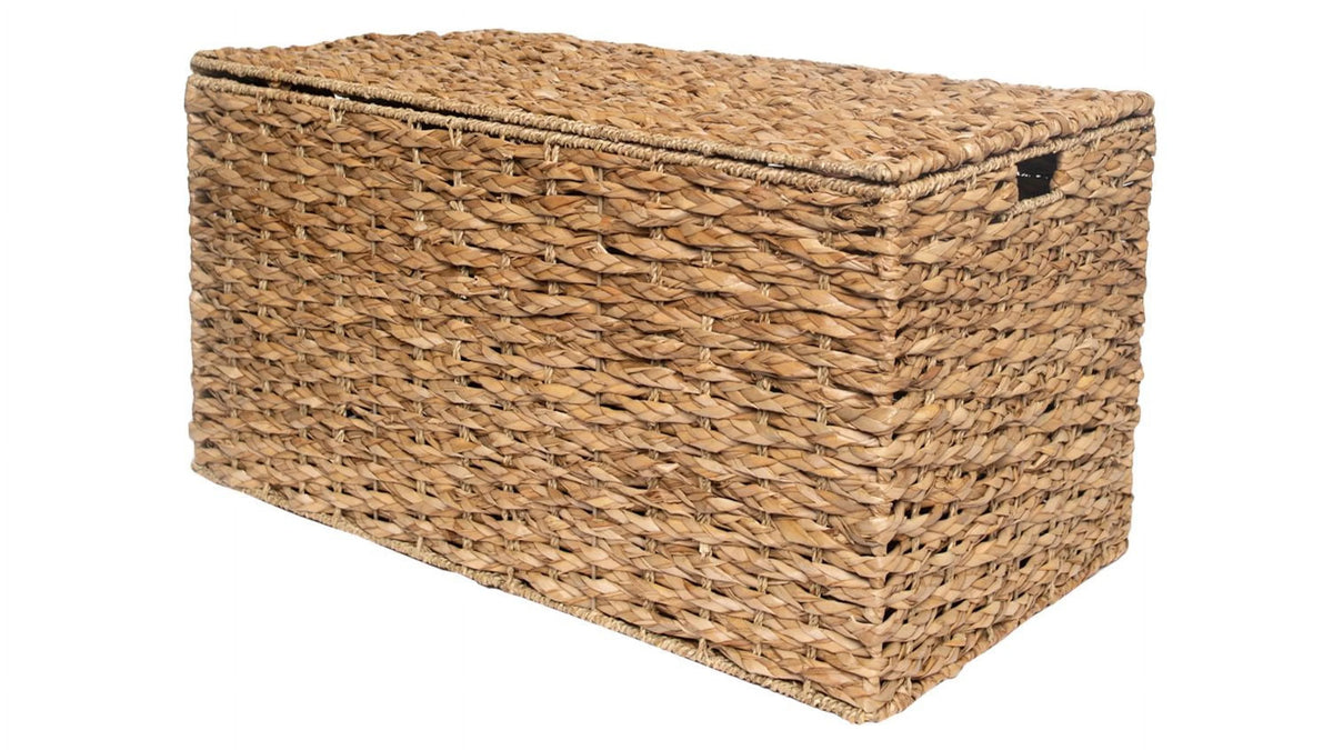 Large Storage Trunk X95205