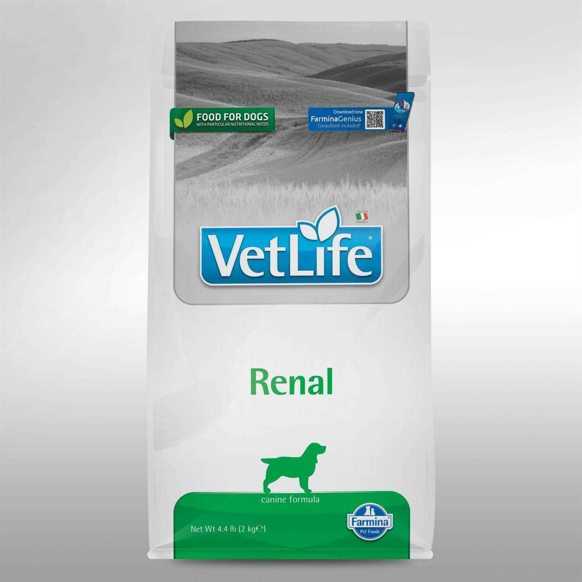 Canine Renal J119595