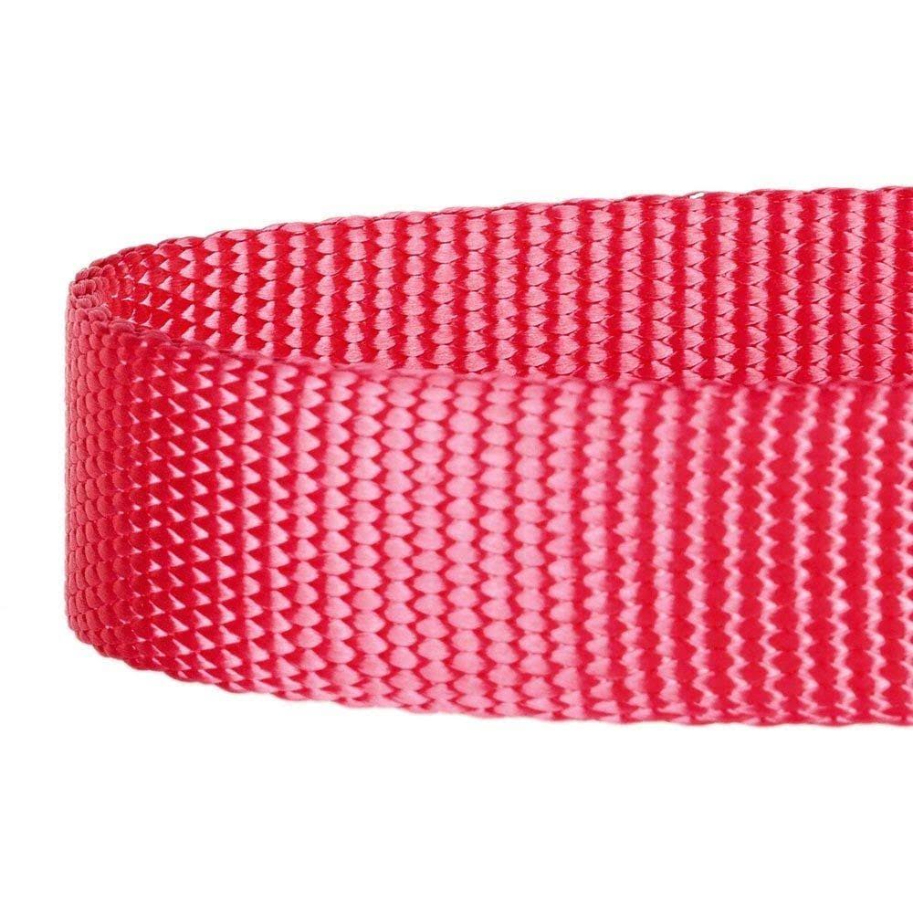 Red Dog Leash O178902