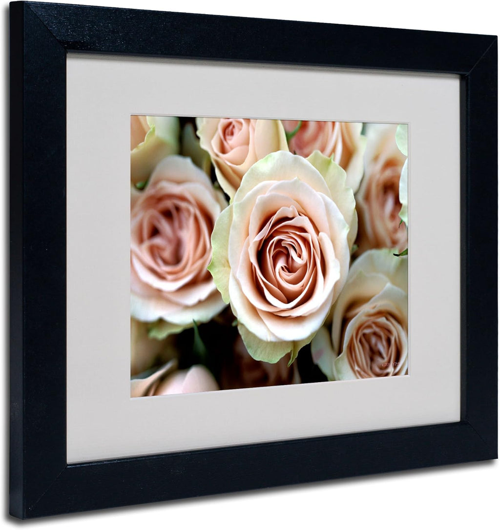 Pale Pink Roses Canvas Artwork in Black Frame, 16 by 20-Inch O7459