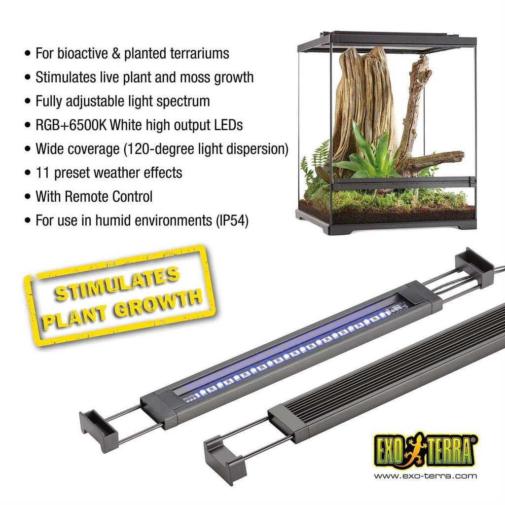 Planted Terrarium LED K24925