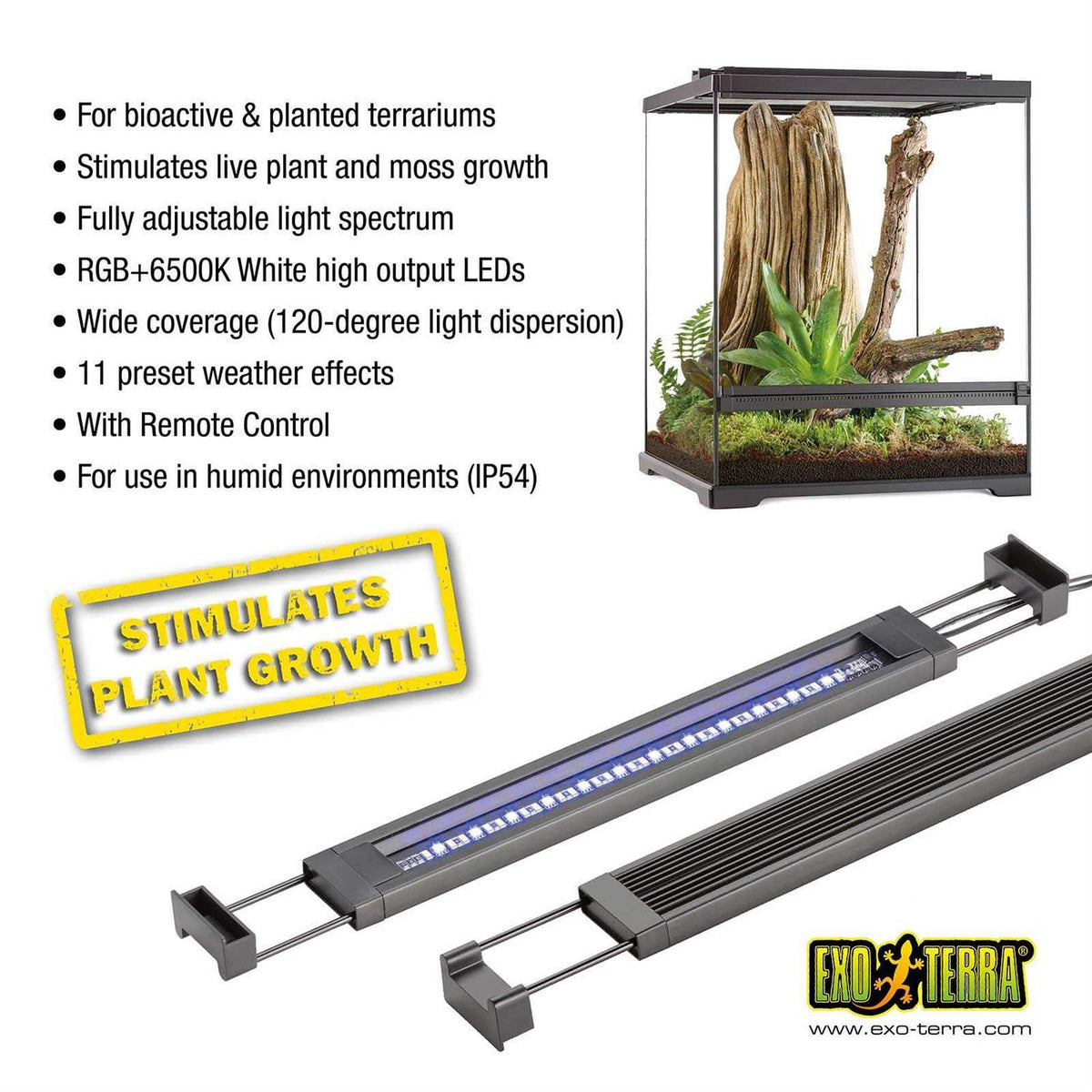 Planted Terrarium LED K24925