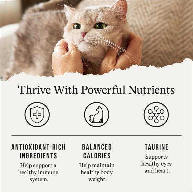 Salmon Grain-Free Dry Cat Food W6394