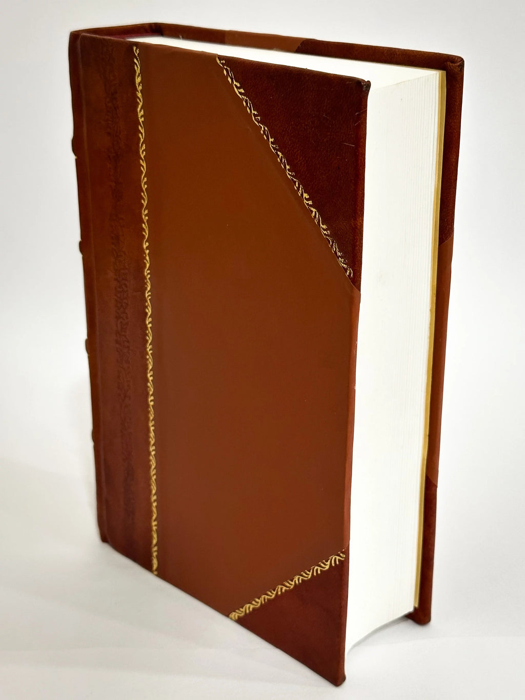CuriositeS De Paris, De Versailles, Marly, Vincennes, Saint-Cloud, Et Des Environs Volume 1 Leather Bound X7836