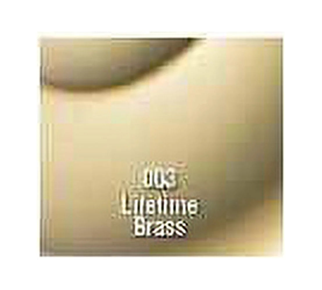 Polished Brass Door Knocker S876941