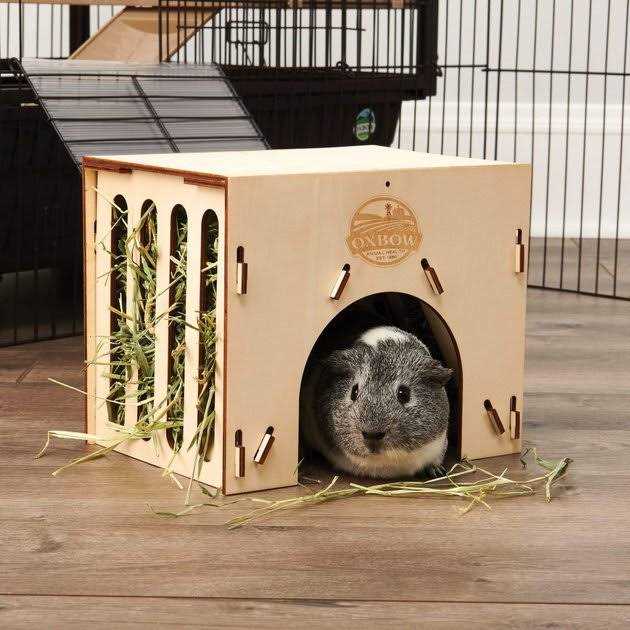 Hay House Q898293