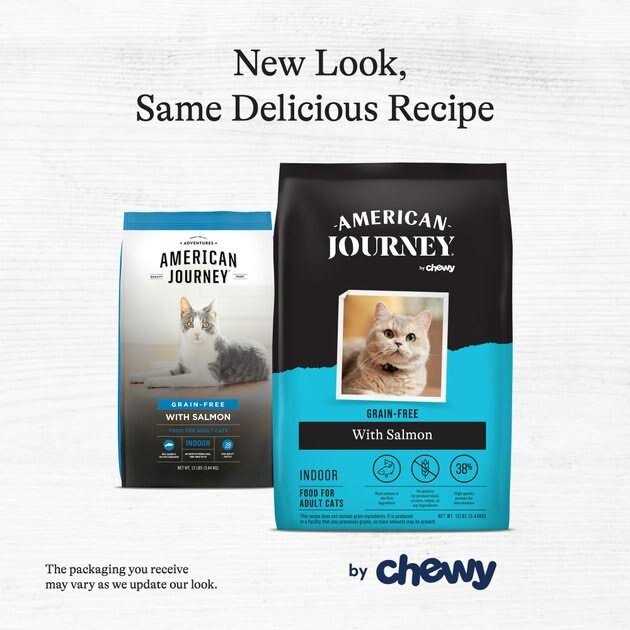 Salmon Grain-Free Dry Cat Food W6394