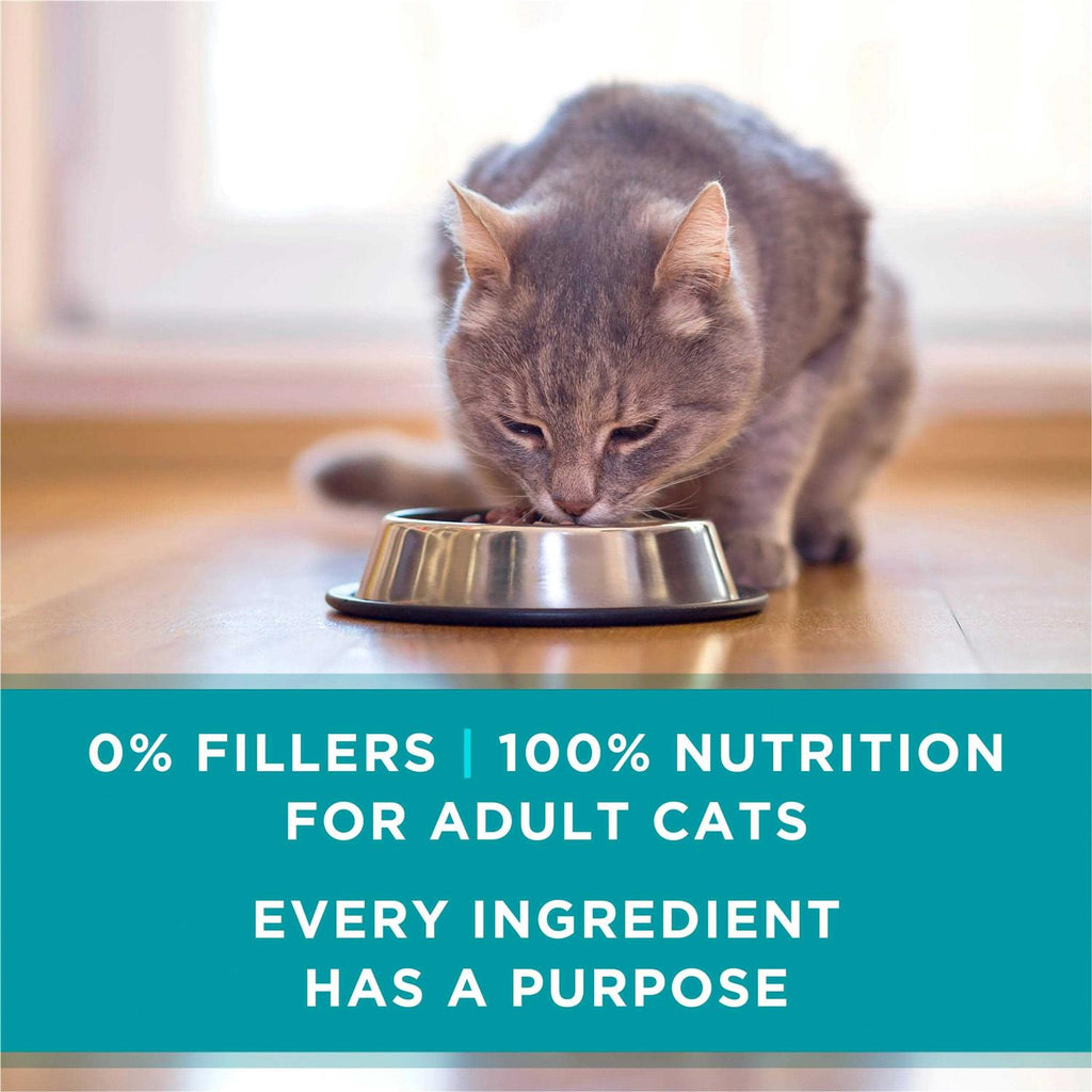 Wet Cat Food I675688