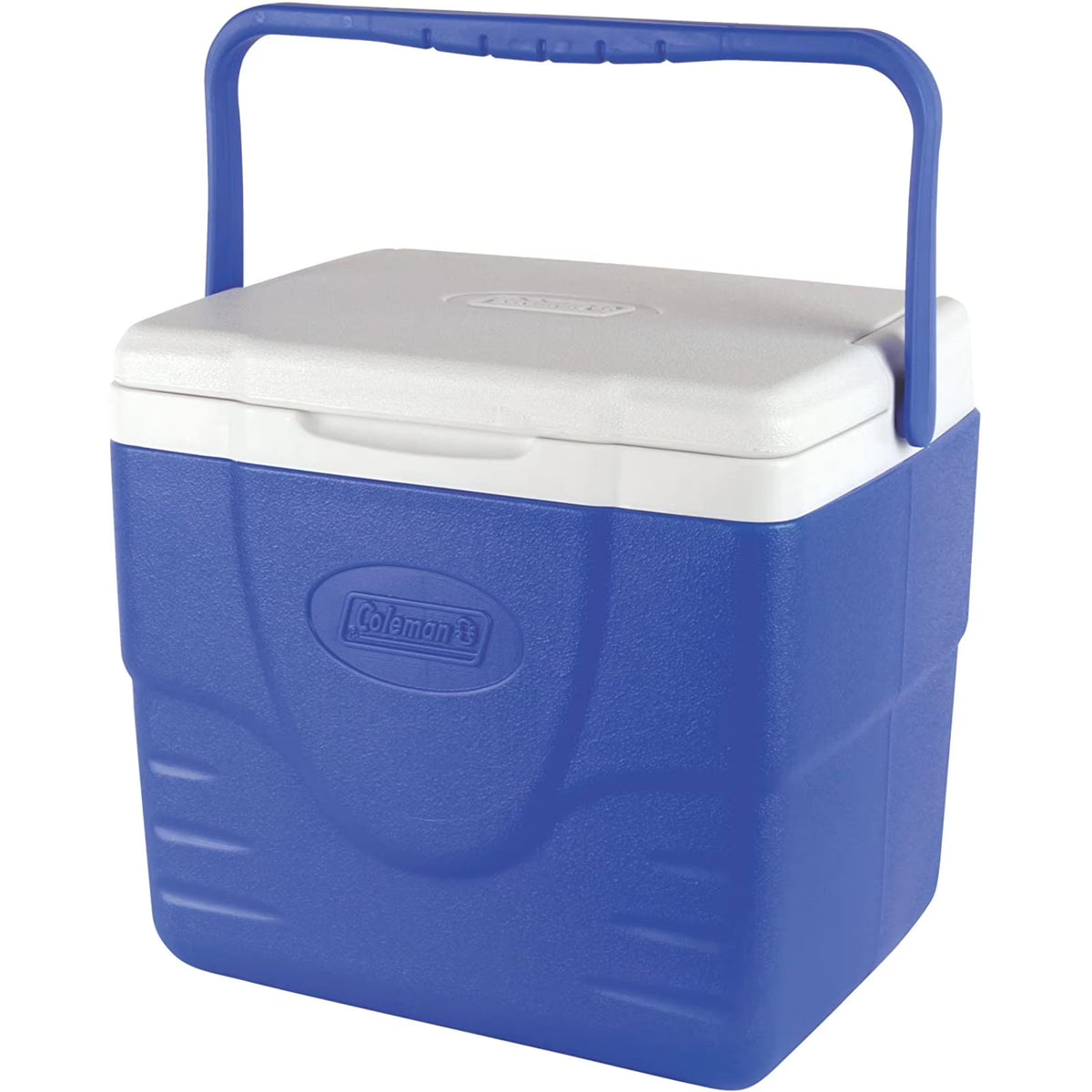 9 Quart Blue White Cooler U329