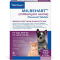 Flavored Tablets for Dogs 11-25 lbs M618477