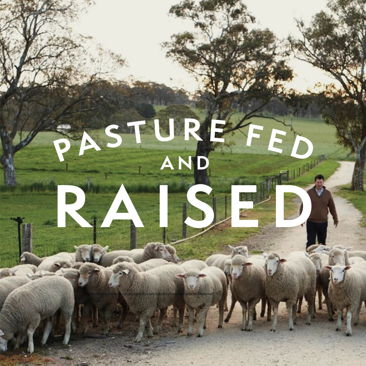 Grass Fed Free Range Ground Lamb, Twelve 1 lb Packages Z345