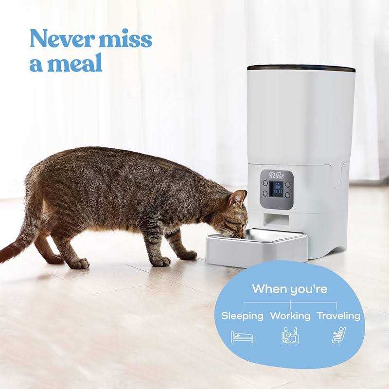 6-L Automatic Cat Food Dispenser with LCD Screen S169577
