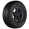 All Season P225/65R17 102T Passenger Tire T96177