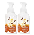 Gentle & Clean Foaming Hand Soap 8.75 Ounce 2-Pack T970
