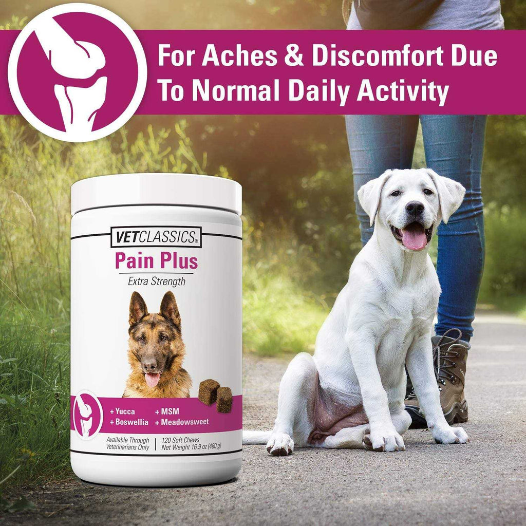 Pain Plus for Dogs X629
