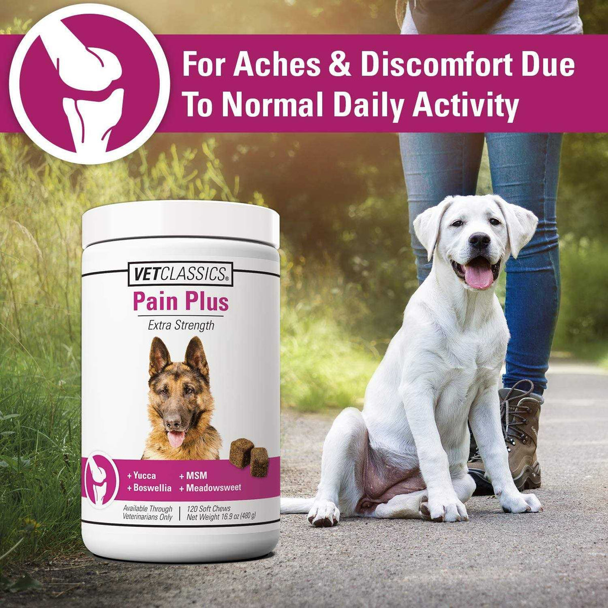 Pain Plus for Dogs X629