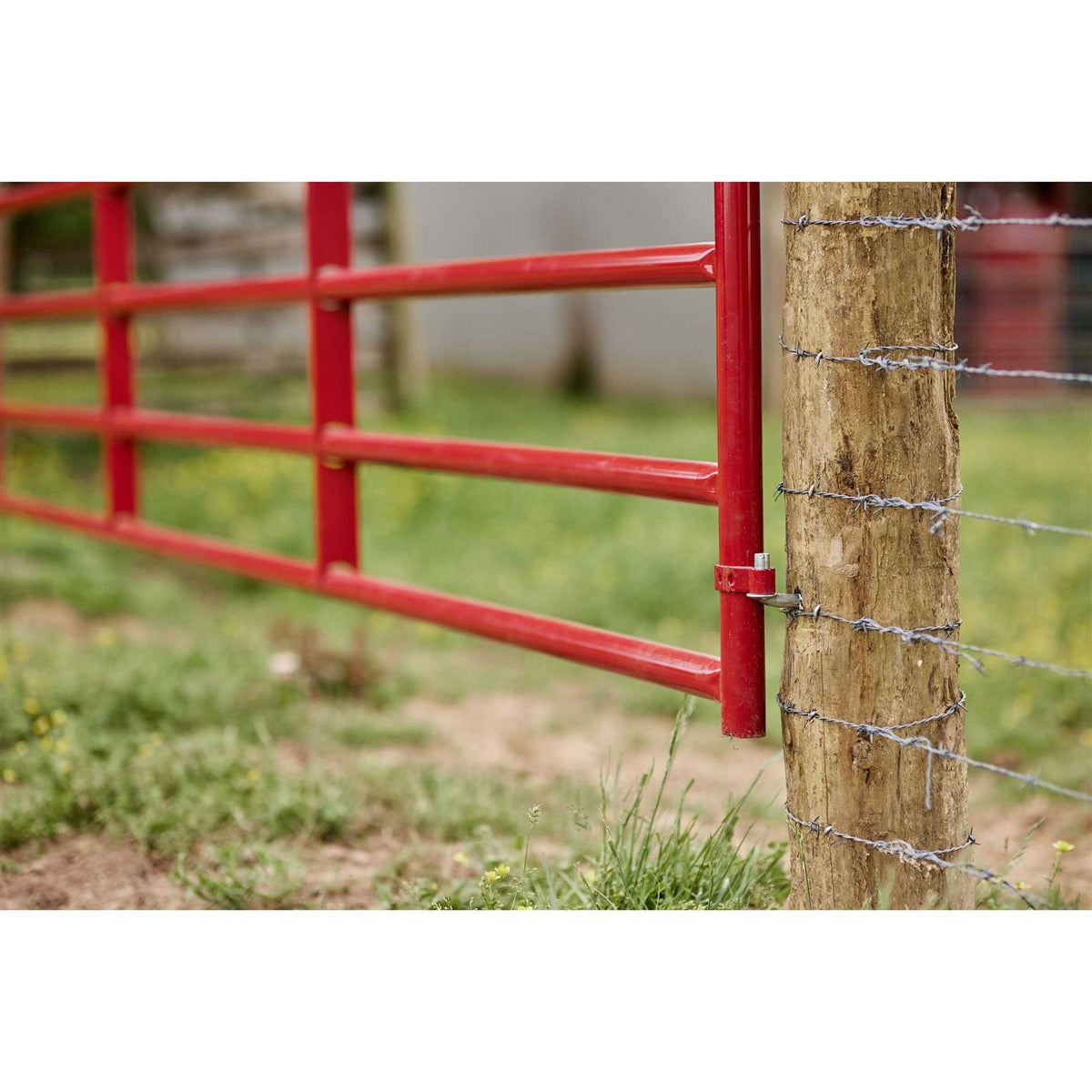 16 ft W Gate Q764