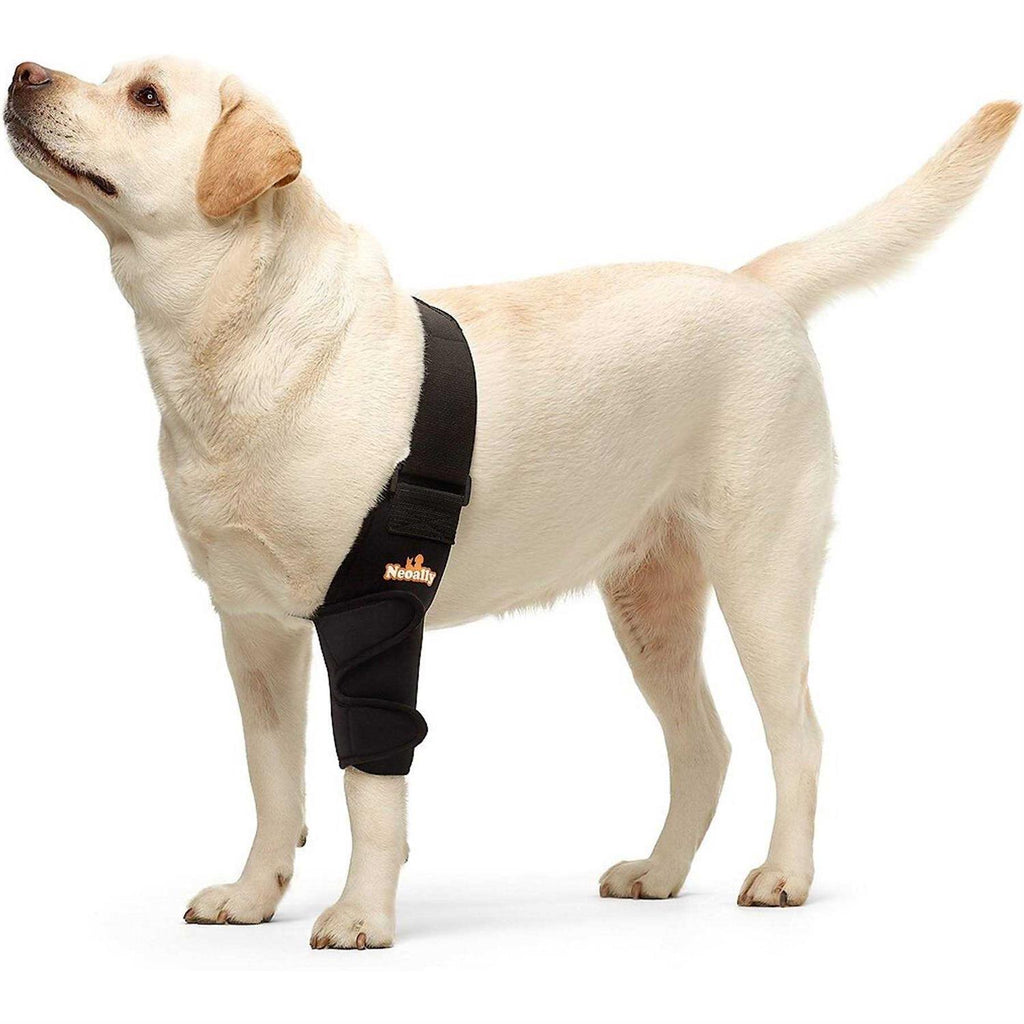 Dog Elbow Brace Protector Pads E6219