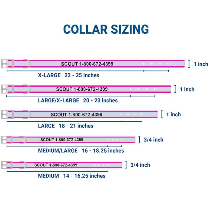 Adjustable Personalized Dog Collar A60747