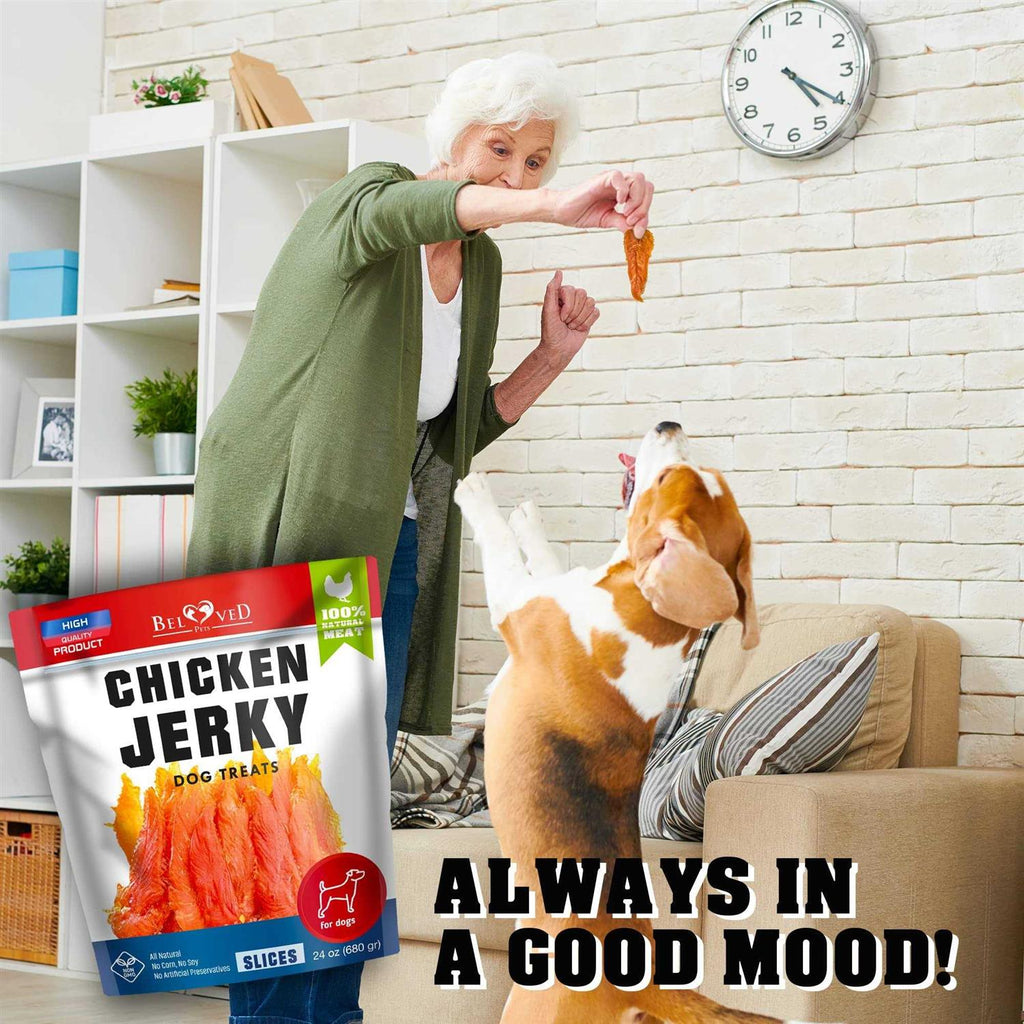 Chicken Jerky Dog Treats 1.5 Lb Grain Free Organic Meat I20185