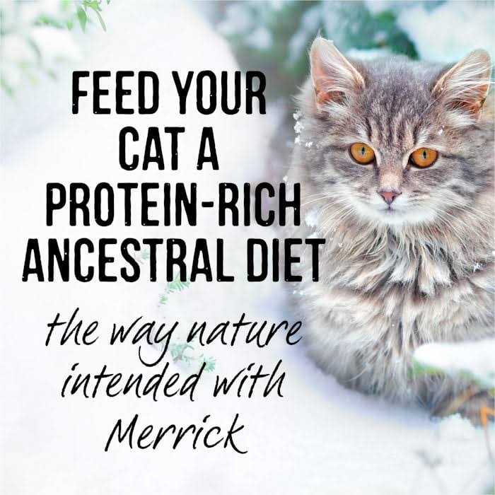 Backcountry Cat Food Real Cuts X453