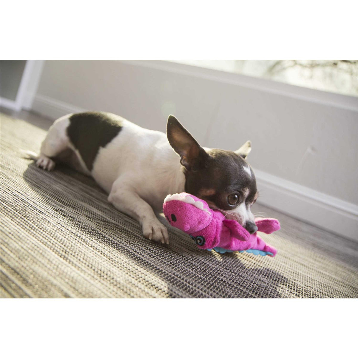 Dog Toy I81778