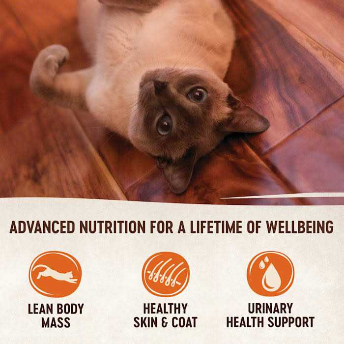 Seafood Selection Cat Food Variety Pack R9882