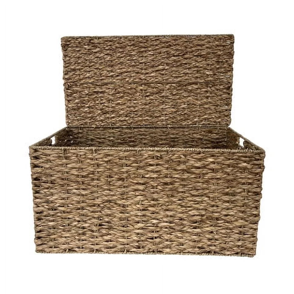 Large Storage Trunk X95205
