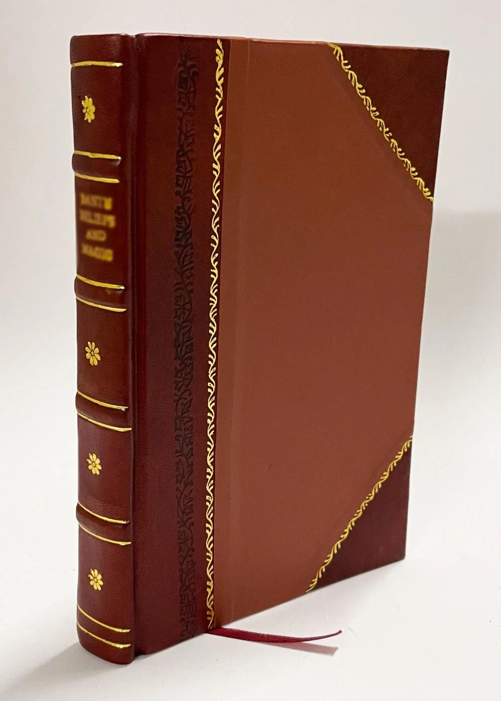 CuriositeS De Paris, De Versailles, Marly, Vincennes, Saint-Cloud, Et Des Environs Volume 1 Leather Bound X7836
