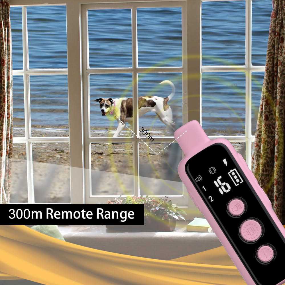 Remote Training Collar for Dogs I174