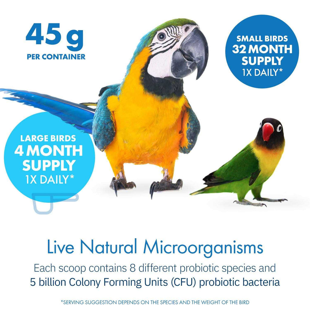 Avian Probiotics Dietary Supplement D137