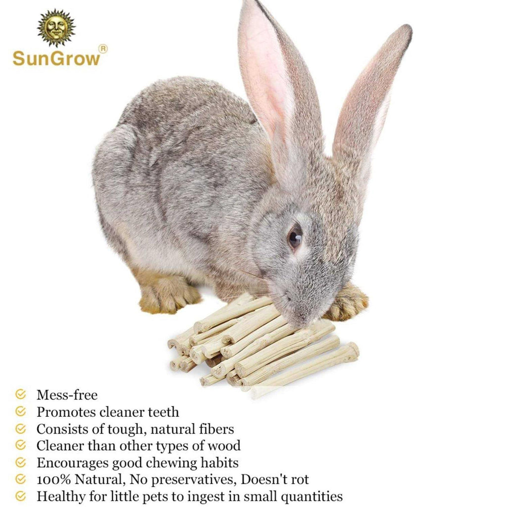 Sweet Bamboo Chew Sticks Small-Pet Dental Treats & Snacks O3130