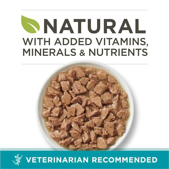Wet Cat Food I675688
