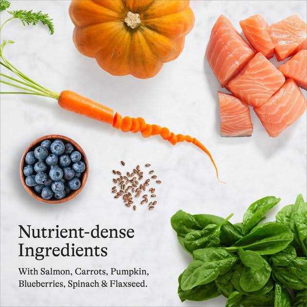 Salmon Grain-Free Dry Cat Food W6394