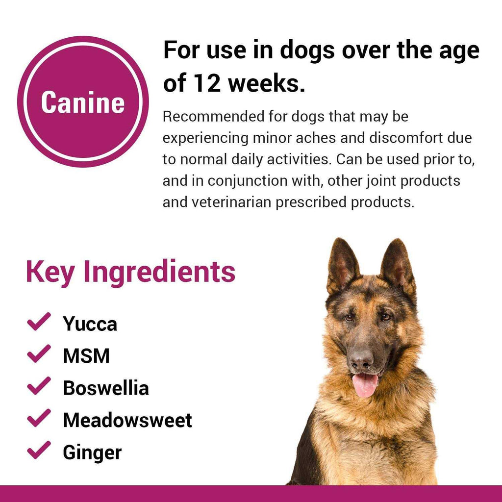 Pain Plus for Dogs X629
