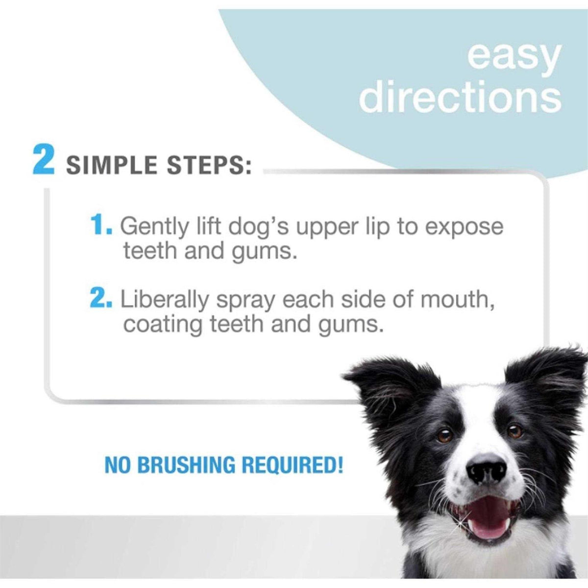 Advanced Oral Care Dental Spray S822259