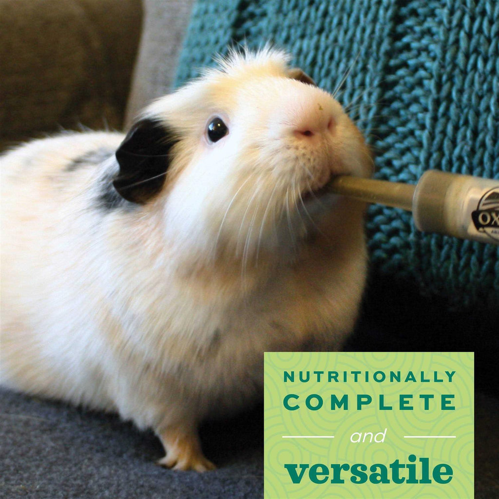 Adult Guinea Pig Food N186968
