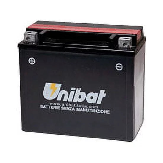 Maintenance-Free Battery with Acid G25810
