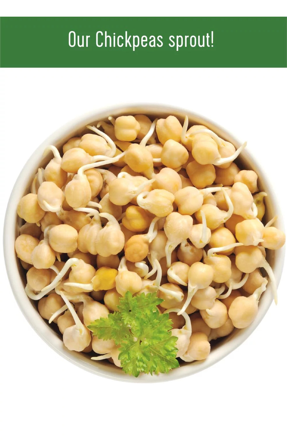 Chickpeas, Lentils and Green Split Peas 75 LBS V6091